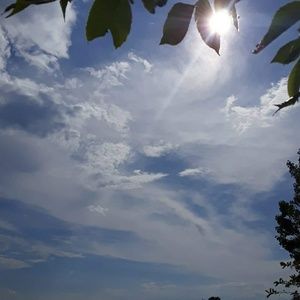 Meet your Posher, Sungida